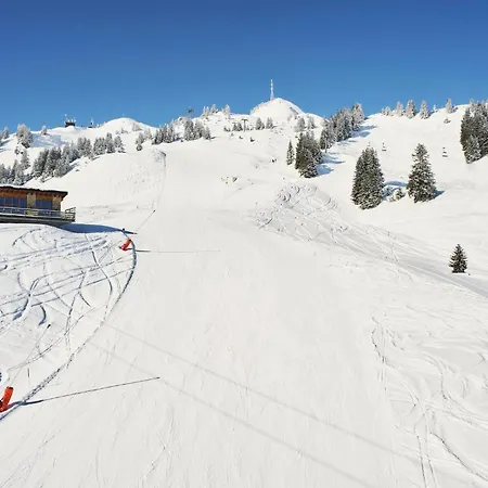 Hahnenkamm Guest house *
