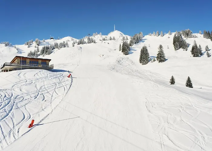 Hahnenkamm 招待所 3*