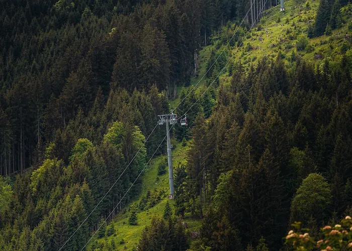 Hahnenkamm 招待所