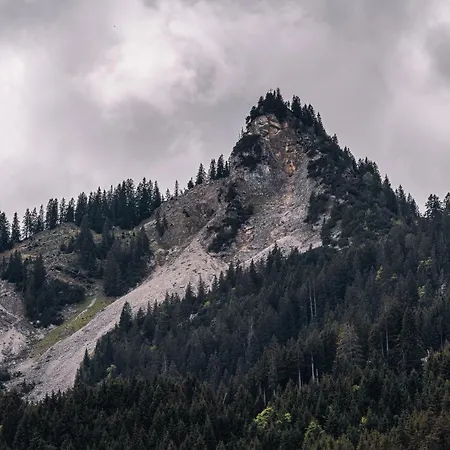 Hahnenkamm بيت ضيافة