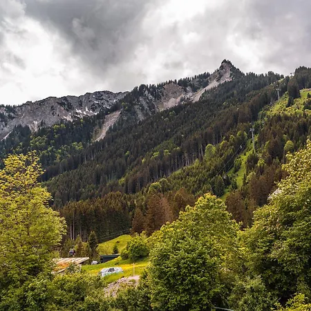 Hahnenkamm Reuthe